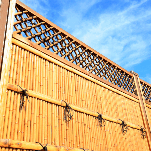 Bamboo Fencing - Image 3
