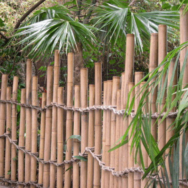 Bamboo Fencing - Image 2