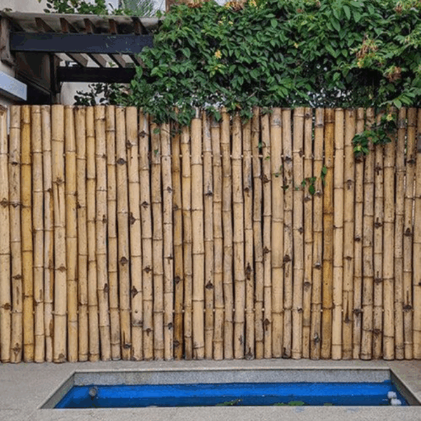Bamboo Fencing